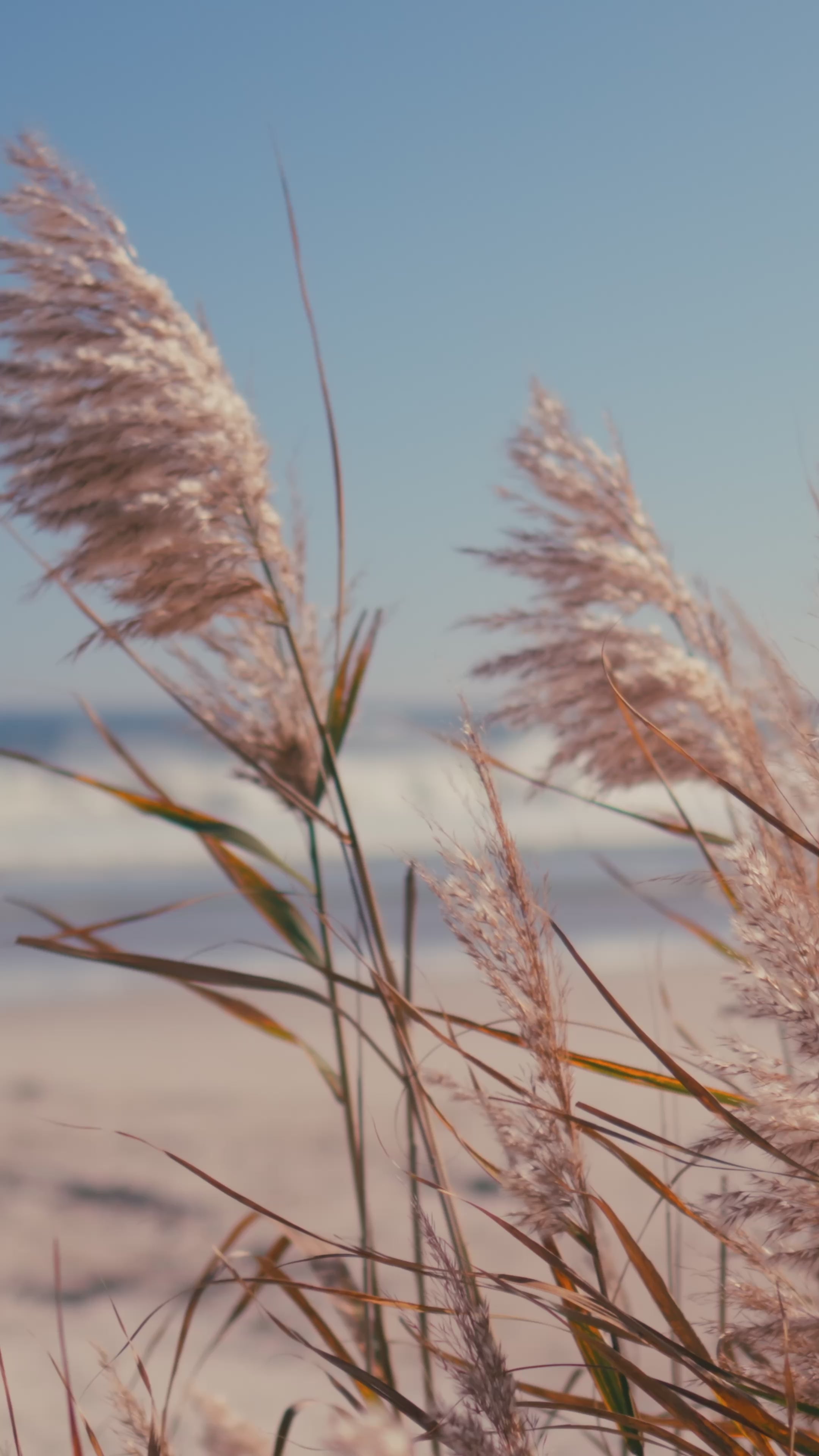 Tubi Dress - Skye Blu